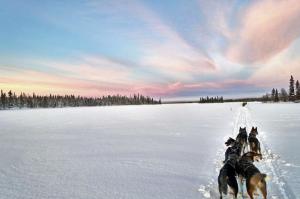 Finnland | Lappland - Husky-Wintertraum: Sportlich